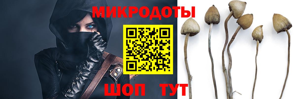 Псилоцибиновые грибы Magic Shrooms  Вход с VPN  Мелеуз 